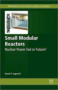 Small Modular Reactors 1st Edition: Nuclear Power Fad or Future?