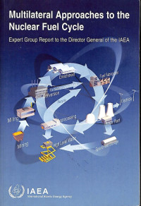 Multilateral Approaches to the Nuclar Fel Cycle: Expert Group Report to the Director General of the IAEA