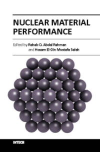 Nuclear Material Performance