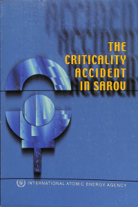 The Criticality Accident in Sarov