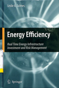 Energy Efficiency: Real Time Energy Infrastructure Investment and Risk Management