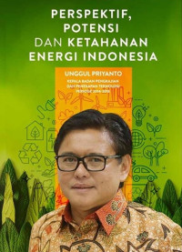 Perspektif, Potensi dan Ketahanan Energi Indonesia