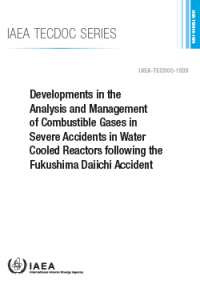 Developments in the Analysis and Management of Combustible Gases in Severe Accidents in Water Cooled Reactors following the Fukushima Daiichi Accident | IAEA TECDOC No. 1939